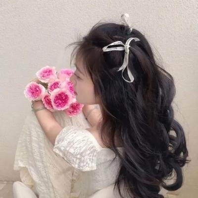 麻雀变王妃
